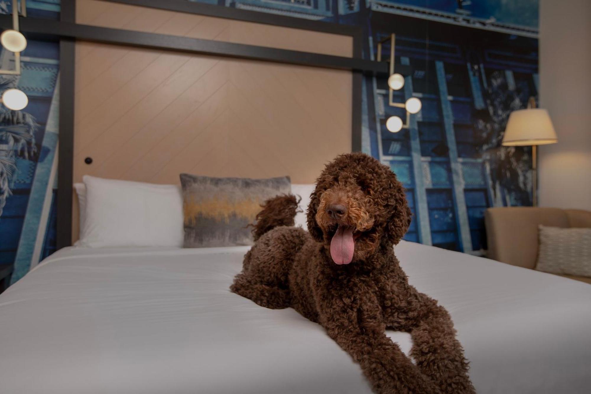Hotel Indigo Jacksonville-deerwood Park By Ihg Jacksonville